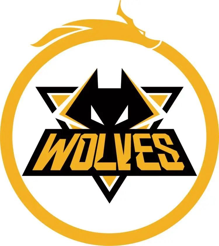 NIP教练：后面的比赛不管打谁都要有一个正常的心去对待